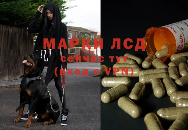 mdpv Беломорск