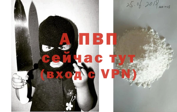 дживик Балахна