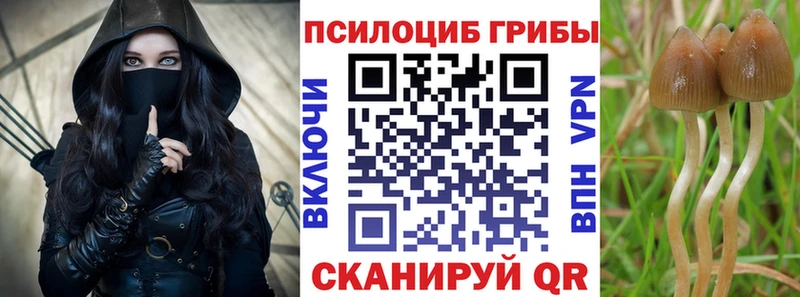 KRAKEN ссылка  Кимры  Галлюциногенные грибы GOLDEN TEACHER 